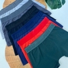 Kit 2 cuecas boxer adulto de algodão