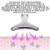 Massageador Facial 7 em 1 com Luz LED
