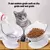 Tigelas duplas simples para gatos com suporte elevado, tigelas protetoras, recip na internet