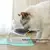 Tigelas duplas simples para gatos com suporte elevado, tigelas protetoras, recip