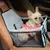 Cão portador de assento do carro capa para animais de estimação transporte do