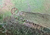 Fechadura Superior Capô Brasília Variant 2 Original Nova na internet