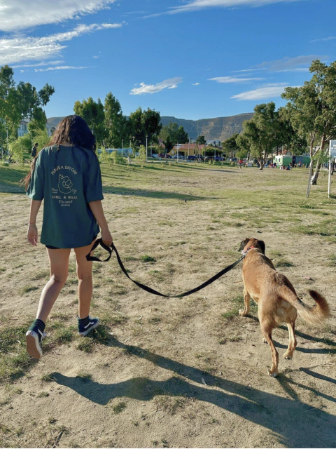 Oversize "Stay Pawsitive"