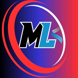 DISTRIBUIDOR MAYEL