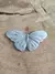 Borboleta - comprar online
