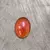 Chaton Ambar GG - comprar online