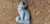 Gato - comprar online