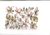 Transfer Colorido Fb21 - comprar online