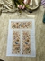 Tecido Sublimado Ts 124