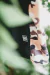 BOARDSHORT DUO CAMUFLADO RED na internet