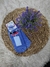 Medias -Stitch