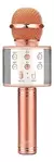 Micrófono Karaoke Niños 5w Bluetooth Efectos De Voz Parlante