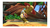 Donkey Kong Country: Tropical Freeze Switch Físico - comprar online