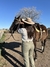 Bombacha de campo "Verde seco" (tono claro) en internet