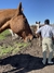 Bombacha de campo "Malva” - La vuelta al pago