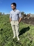 Bombacha de campo "Malva” en internet