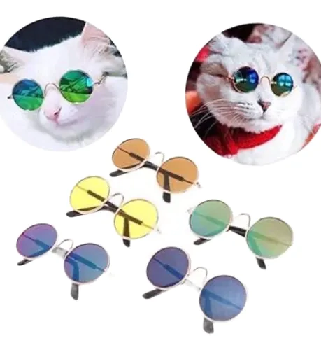 Lentes Mascotas COD LTE32 - comprar online