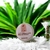 Crema Baba de Caracol 100gr - comprar en línea