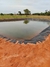 GEOMEMBRANA 500 MICRAS 5X10 M (0,5MM) – TANQUES, LAGOS, PISCICULTURA, IRRIGAÇÃO | AAGRO - loja online