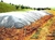 LONA PARA SILAGEM 12X50 86KG DUPLA FACE 200 MICRAS - comprar online