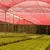 TELA ULTRANET 35% SOMBREAMENTO 4X100 - Aagro Lonas e Telas para Agro e Construção Civil com Garantia | Aagro