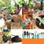 Kit Para Jardinagem Hagra Jardim Jogo Ferramentas Grama Corta Galhos Maleta Pás Poda 10 Peças Com Maleta - loja online