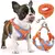 Coleira Peitoral para cachorro pequenos e médios com guia para pet colete confortável - comprar online