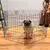 Cercado para cachorro de porte Pequeno e Médio Cercadinho Pet Móvel Dobravel 53 cm Altura