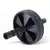 Roda De Exercícios Abdominal Para Treino Lombar e Funcional Fitness - comprar online