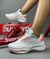 Nike Zoom X en internet
