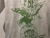 Camisa Seleção Boliviana