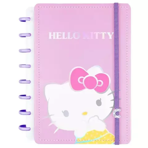 CADERNO INTELIGENTE 1/4 1 MATERIA 80FLS HELLO KITTY - JANDAIA