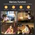 Lâmpada de Mesa FlexBright Pro Led Dobrável Simples ou Dupla com Clipe Ajustável na internet