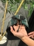 BONÉ FIVE PANEL RV/SIDE na internet