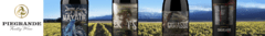 Banner de la categoría Diamandes