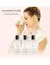 Rosas & Musk EDT - Guillermina Valdez en internet