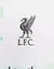 Camisa Liverpool II 23/24 - Torcedor Nike Masculina - Branca com detalhes em verde e preto - loja online