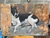 Callejero 3