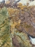 Hoja de otoño en internet