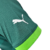 Camisa Palmeiras I 23/24 Jogador Puma Masculina - Verde - FUT POWER STORE