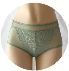 Calcinha de renda transparente feminina tamanhos grandes com cintura alta verão sexy malha oco para fora cuecas femininas plus size - loja online