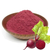 Farinha de Beterraba Pura 2Kg Natural Premium - comprar online