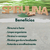 Spirulina em Pó Premium 100% Pura 500g a 1Kg Natural na internet