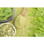Moringa em Pó Puro 2Kg Chá Premium Natural