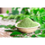 Moringa em Pó Puro 200g Chá Premium Natural - comprar online