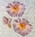 Americano Papaver - comprar online