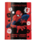 PASTA ABA HOMEM ARANHA