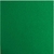 PLACA DE EVA 60X40 VERDE ESCURO