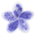 FLOR DE LOTUS LILAS SET