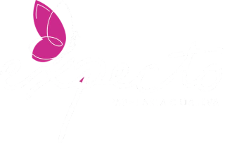 Expecto Papelaria Criativa